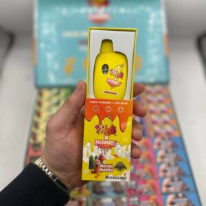 whole melt x packwoods